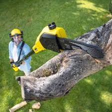 Best Organic Lawn Care Solutions  in Airport, CA